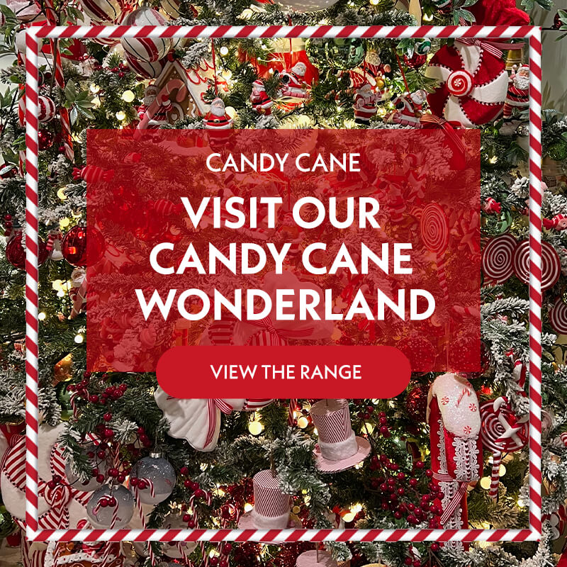 Visit our candy cane collection for the perfect Christmas decoration’s