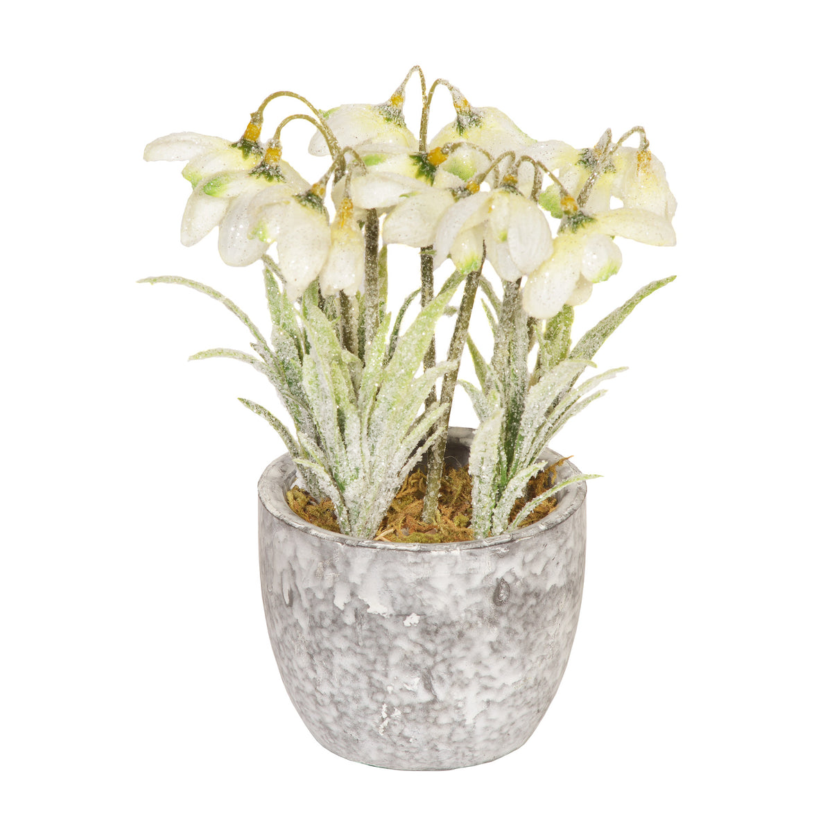 Frosted Snowdrop Artificial Plant in Pot 18cm Southwood Christmas Shop