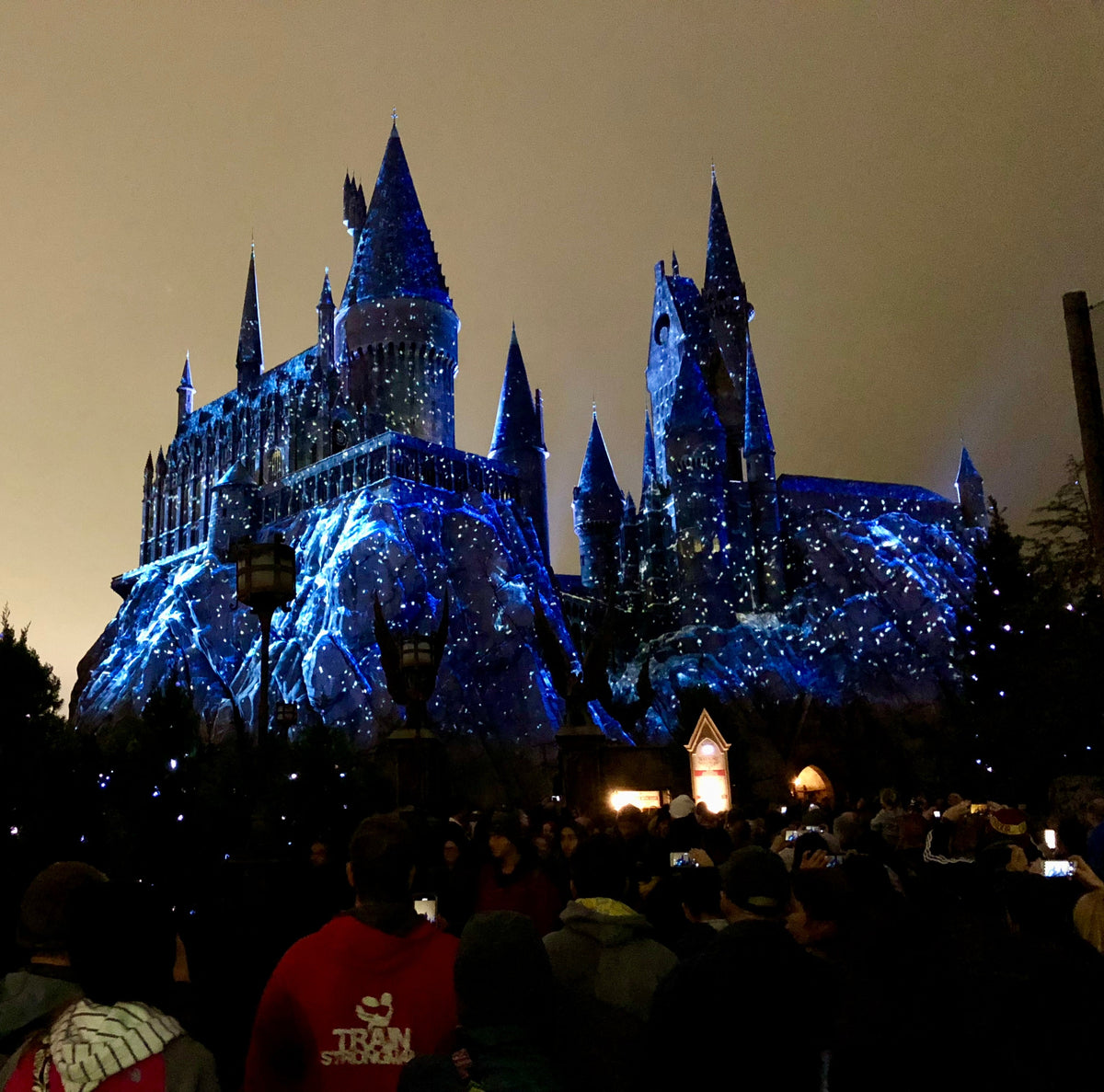 Harry Potter Christmas Decorations & Baubles