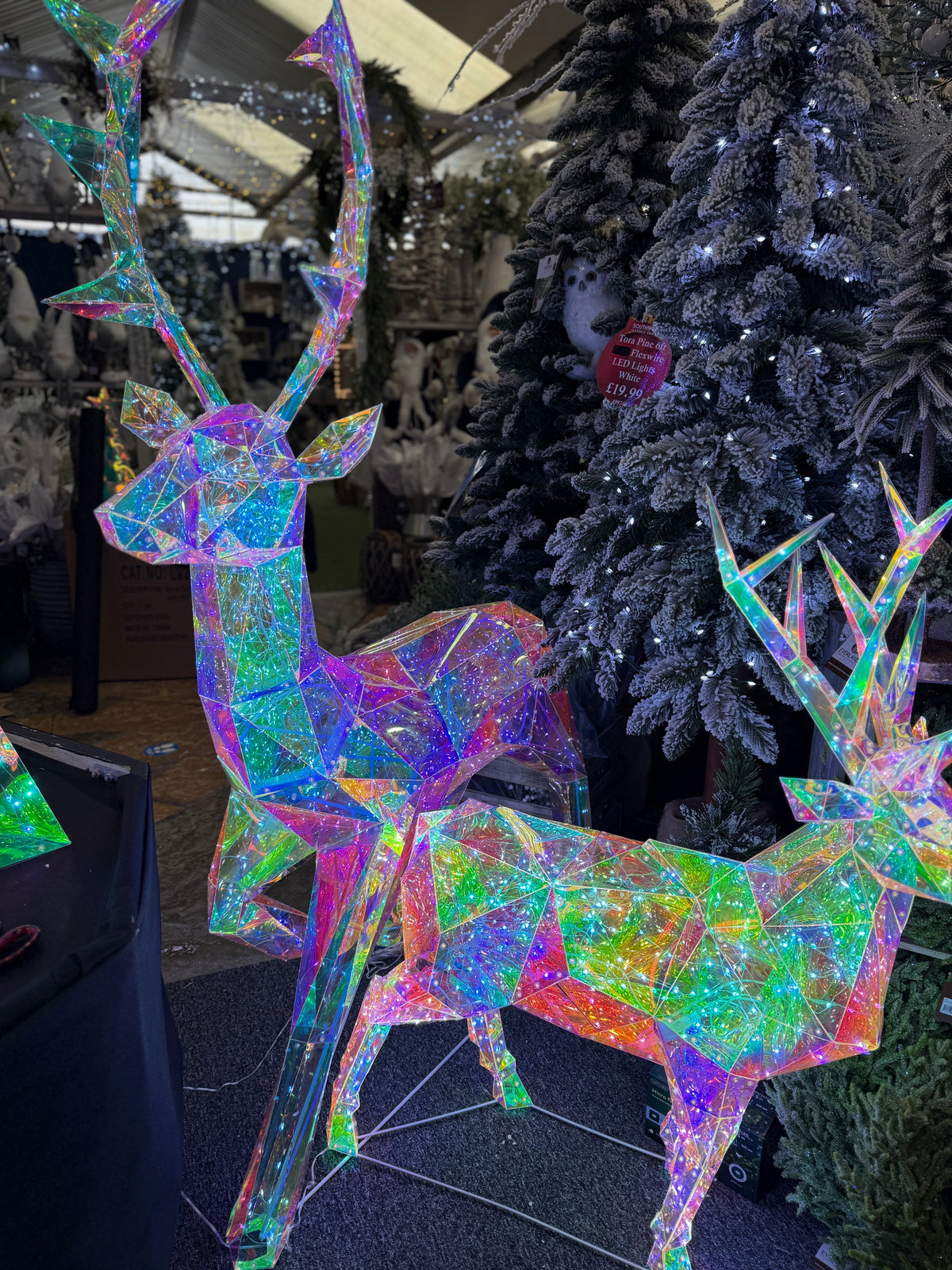 Iridescent DreamLight Christmas Lights