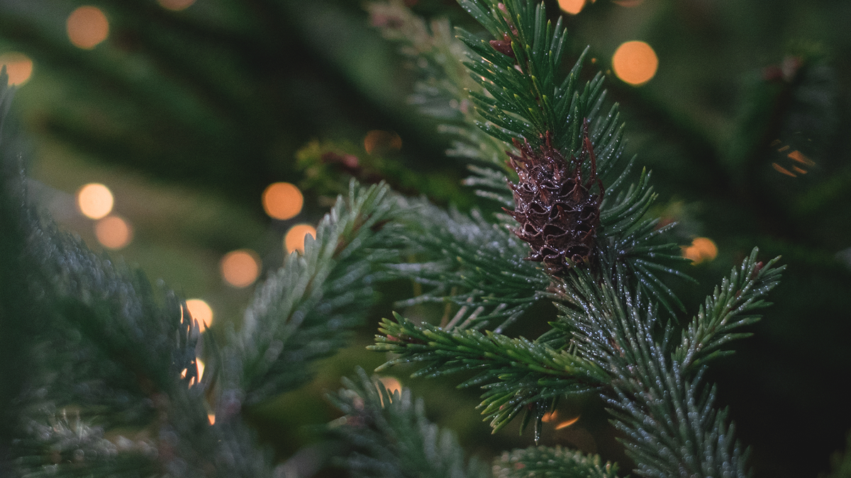 Pre-Lit Artificial Christmas Trees