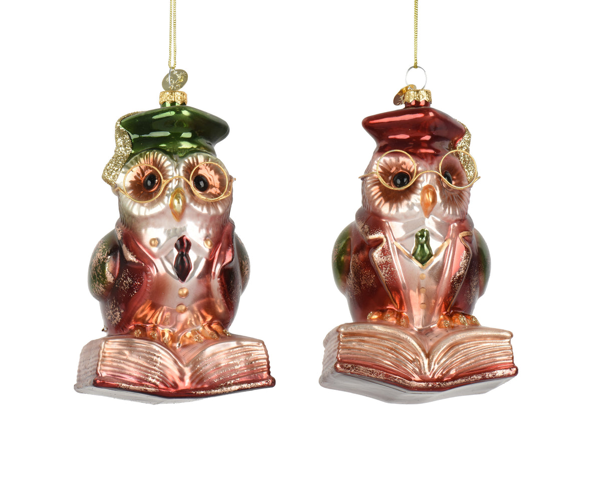 Red/Green Professor Owl 13cm