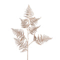 Asparagus Copper Spray Leaves Pick