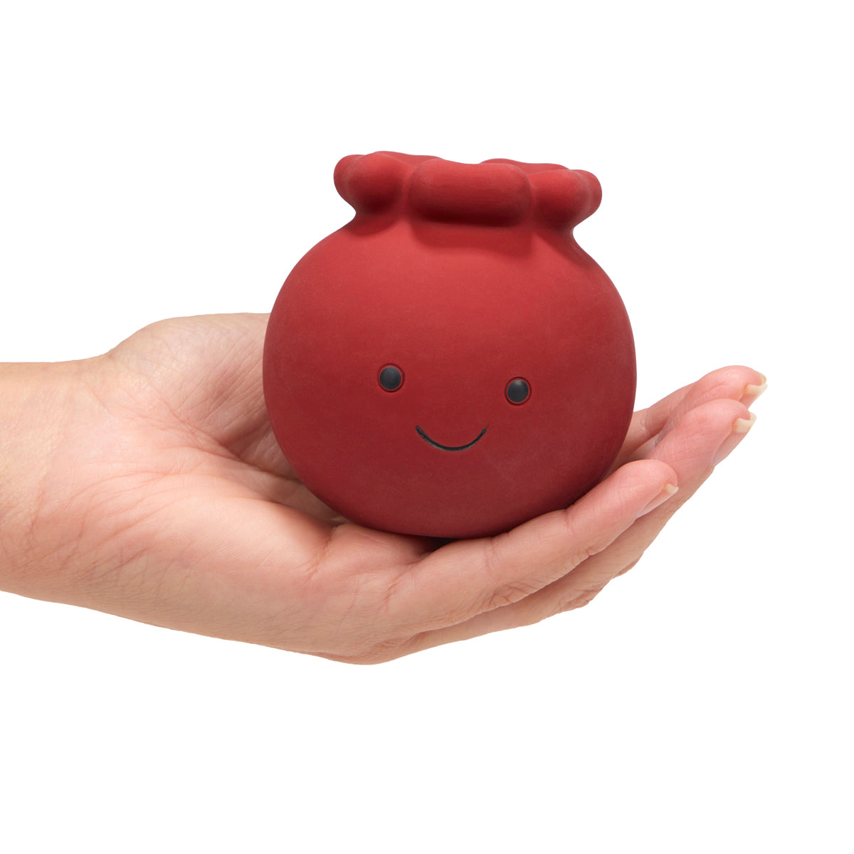 Petface Carrie Cranberry Latex Foodie Faces Christmas Dog Toy