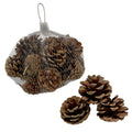 Bag of Pinecones - 200g