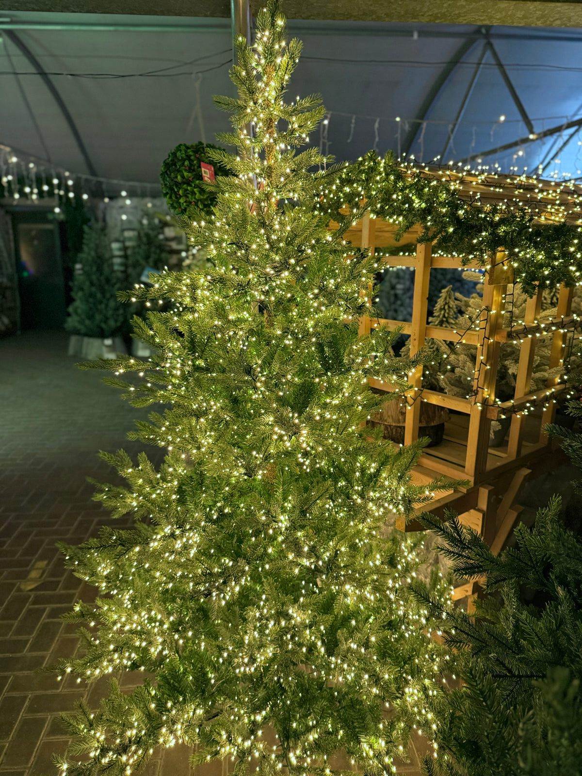 Everlands 7ft Grandis Fir Pre-Lit with 4200 Warm White Compact Cluster Light Artificial Christmas Tree
