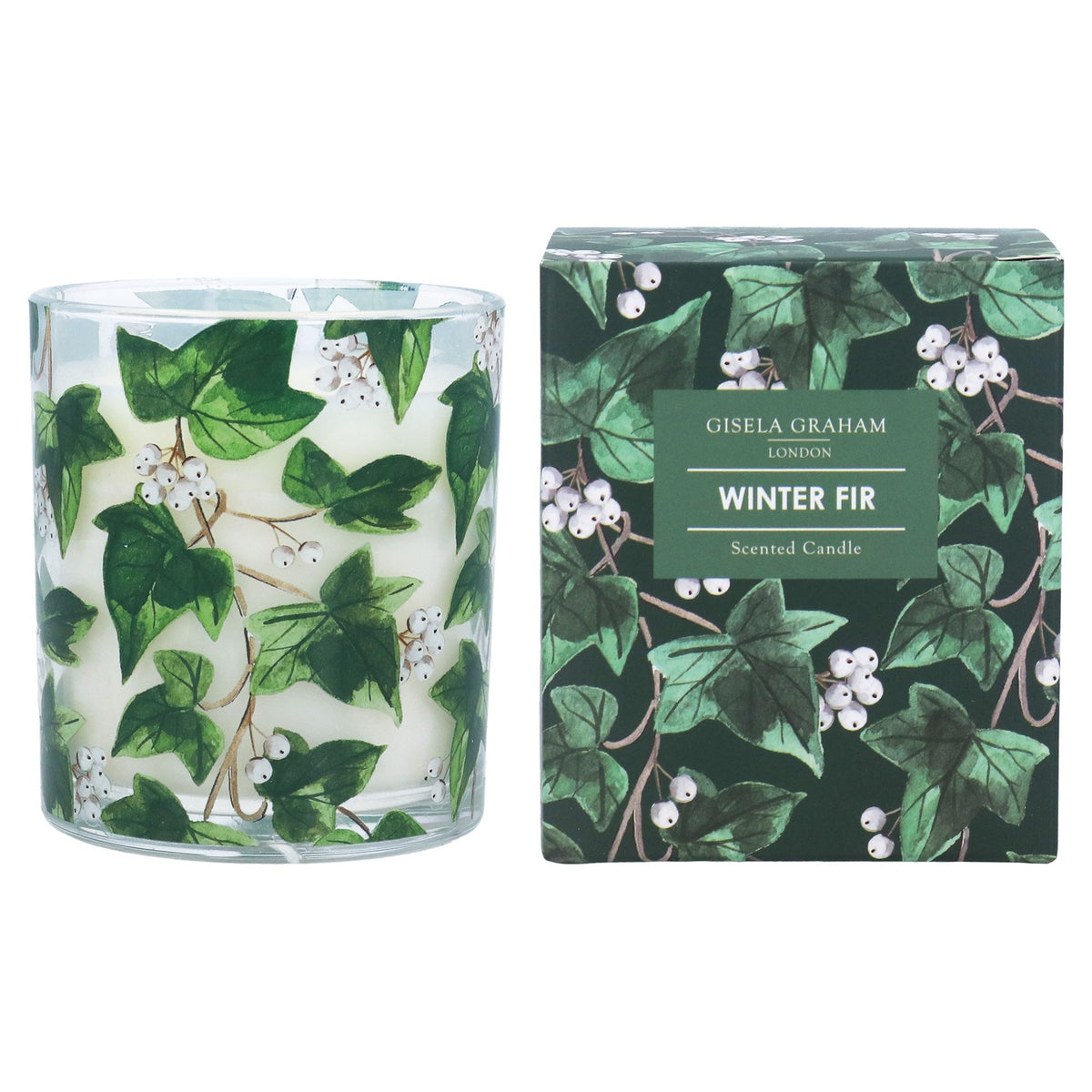 Gisela Graham Large Ivy Design Winter Fir Scented Boxed Candle