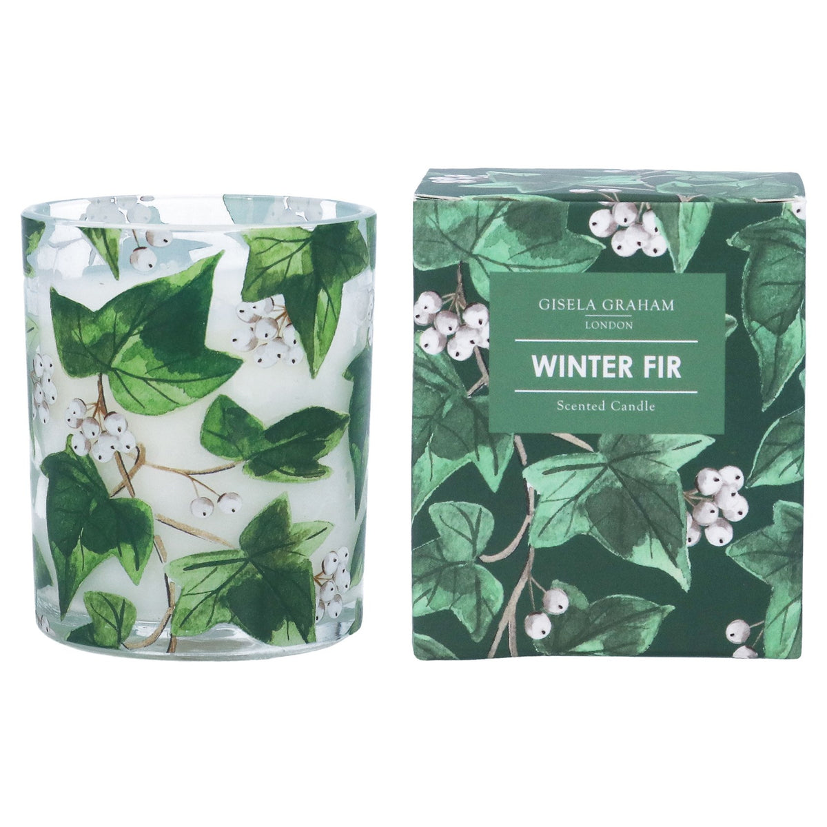 Gisela Graham Small Ivy Design Winter Fir Scented Boxed Candle