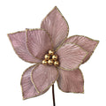 Pale Pink with Gold Edge Poinsettia - 25cm