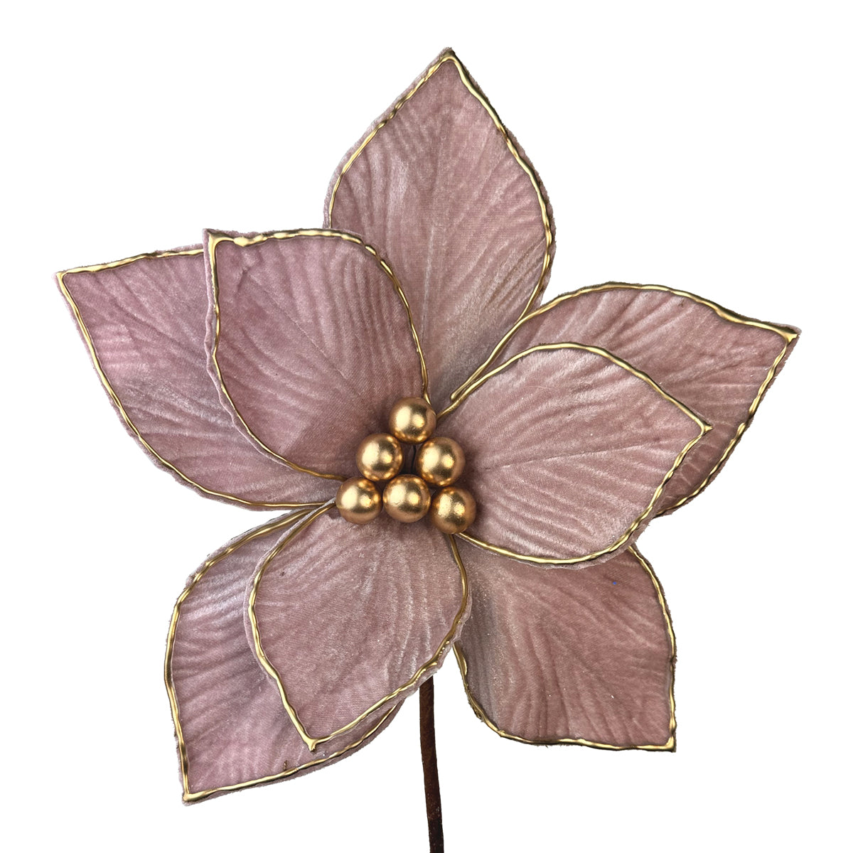 Pale Pink with Gold Edge Poinsettia - 25cm