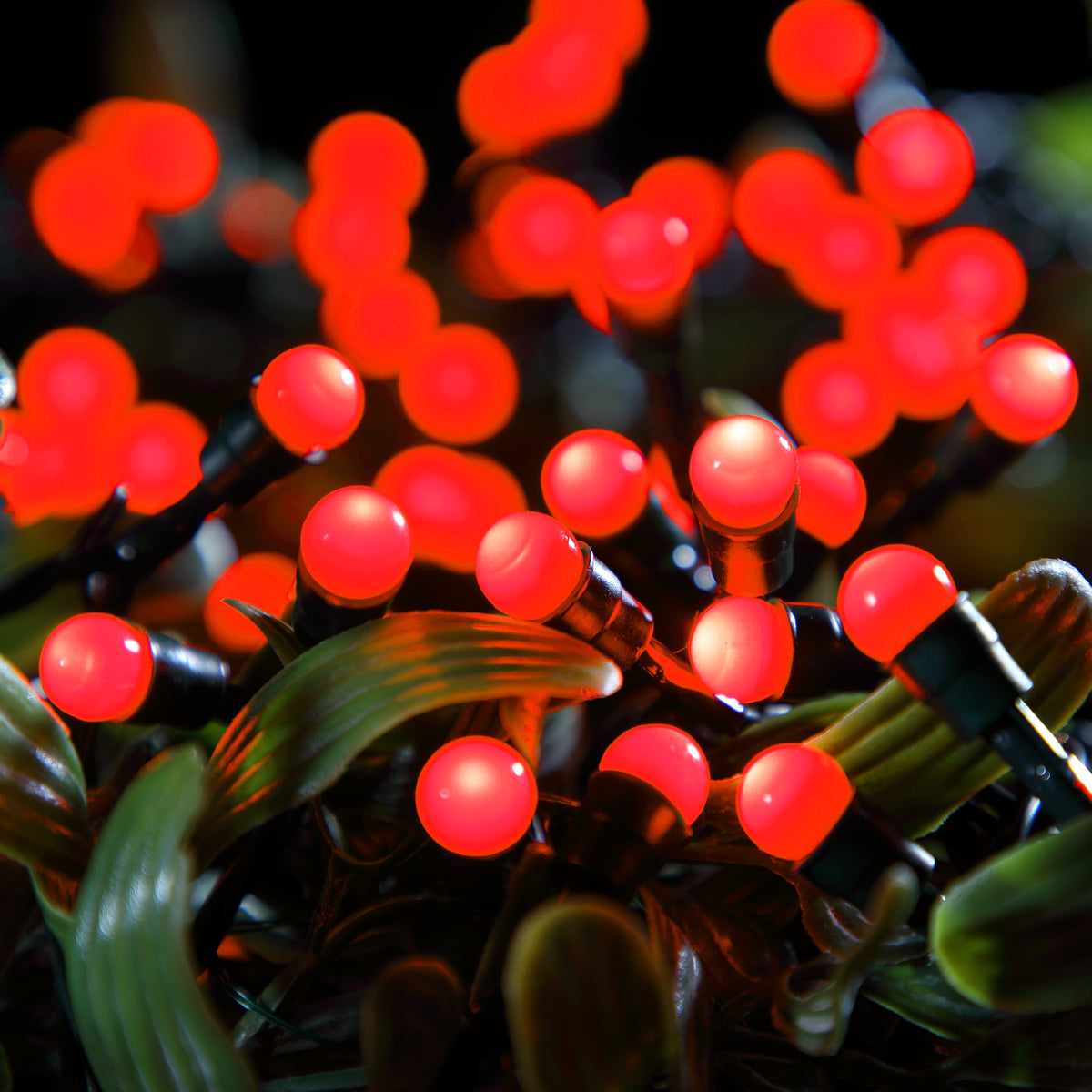 NOMA 100 Red Multifunction Berry Lights