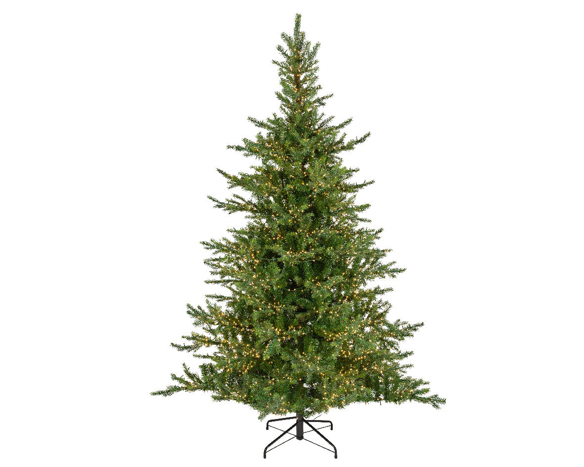 Everlands 7ft Grandis Fir Pre-Lit with 4200 Warm White Compact Cluster Light Artificial Christmas Tree