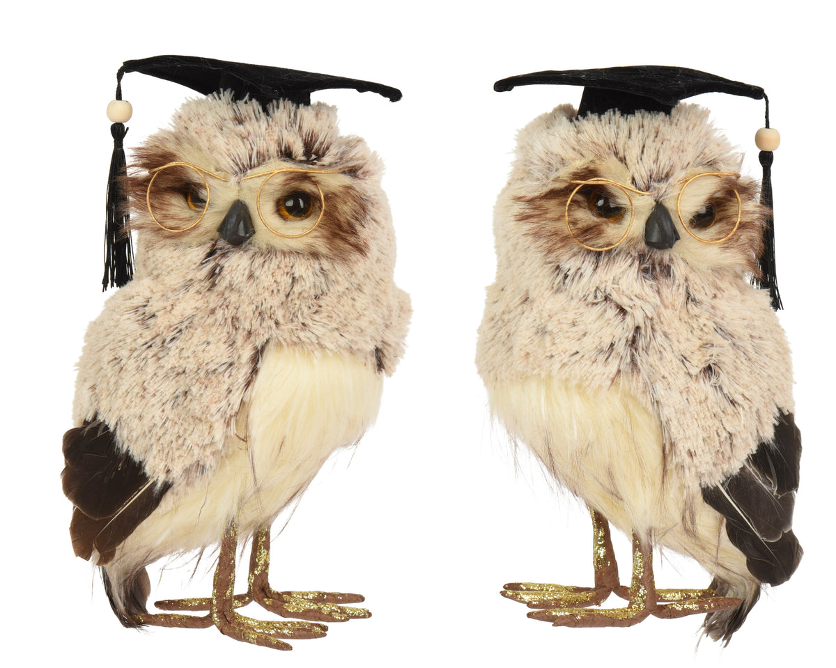 Grey Graduating Professor Owl with Artificial Feathers 27cm - Single