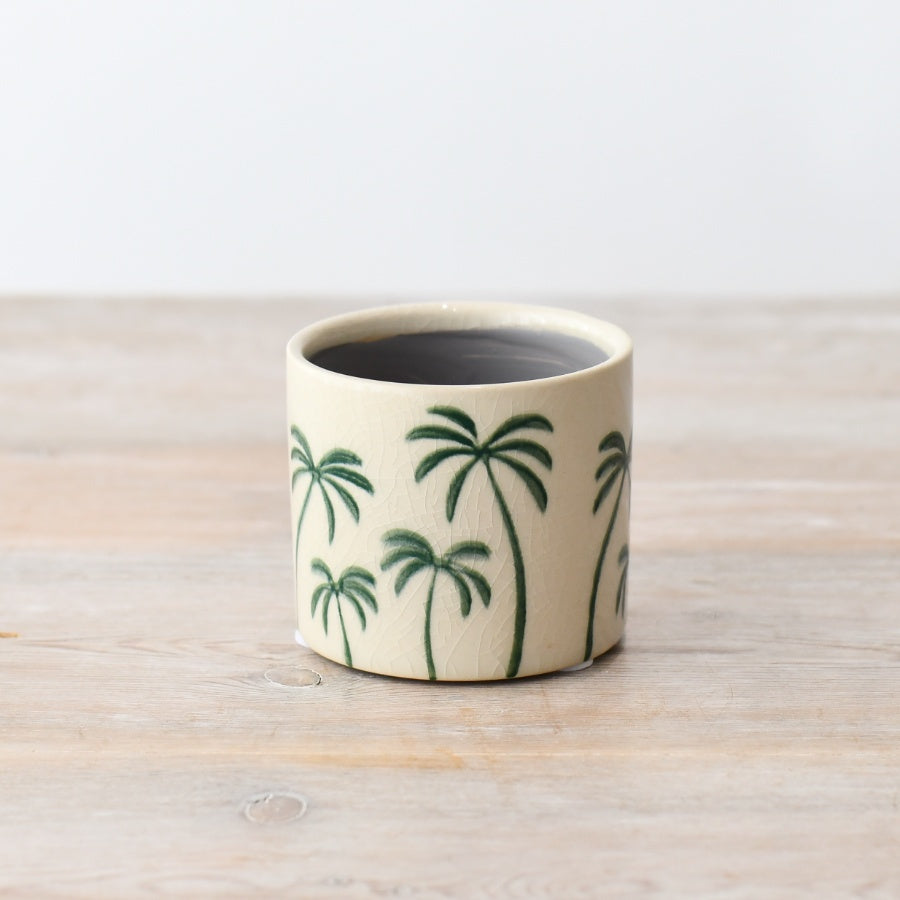 Small Palm Tree House Plant Pot- 8cm