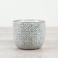 Ceramic House Plant Pot - 11cm