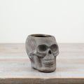 Grey Skull Planter 14.5cm