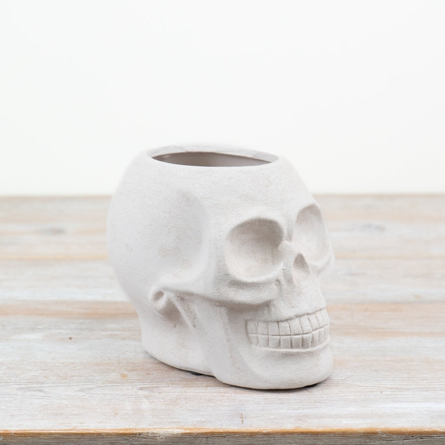 Halloween White Skull Planter 14.5cm