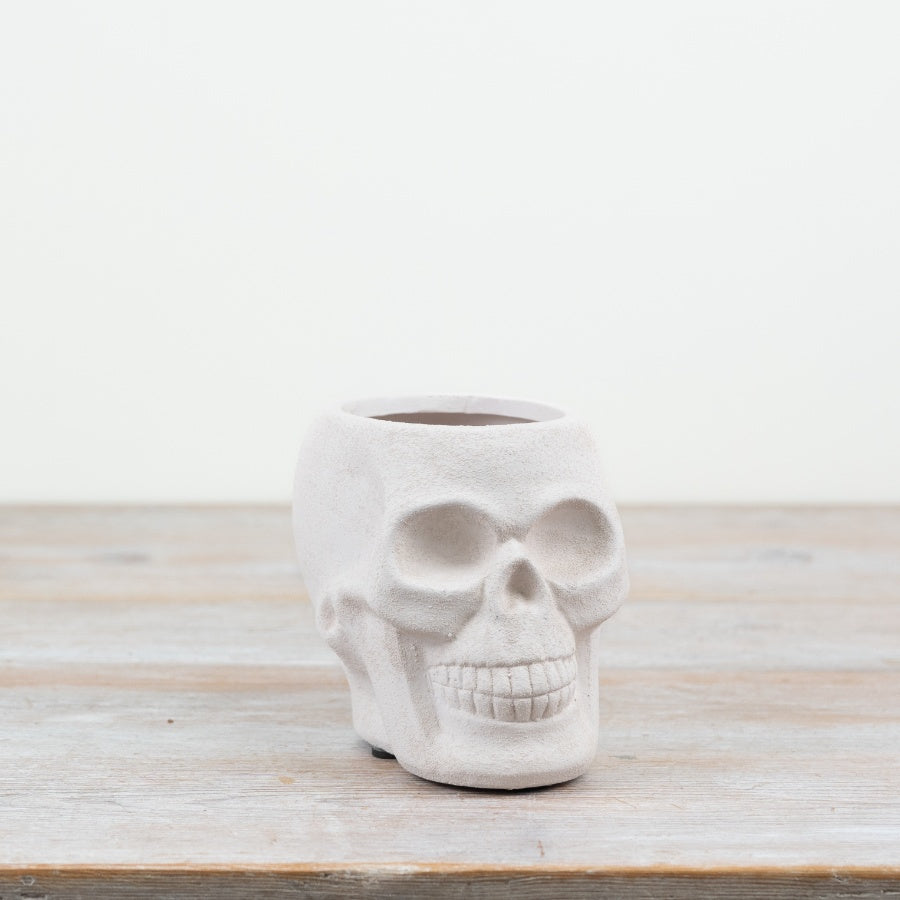 Halloween White Skull Planter 18cm