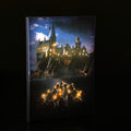 NOMA Harry Potter Hogwarts Castle LED Canvas - 52cm