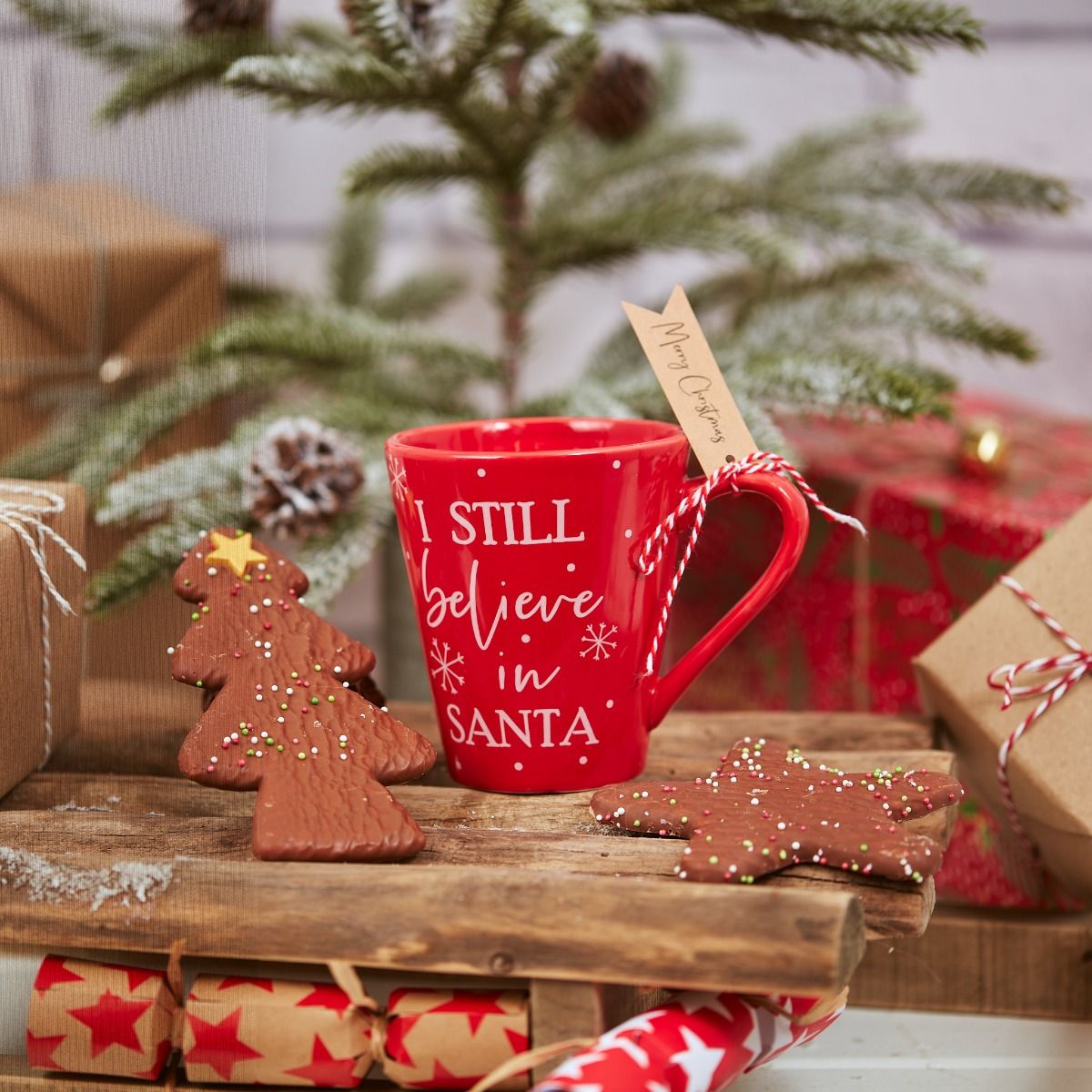 I Believe in Santa Red Christams Mug
