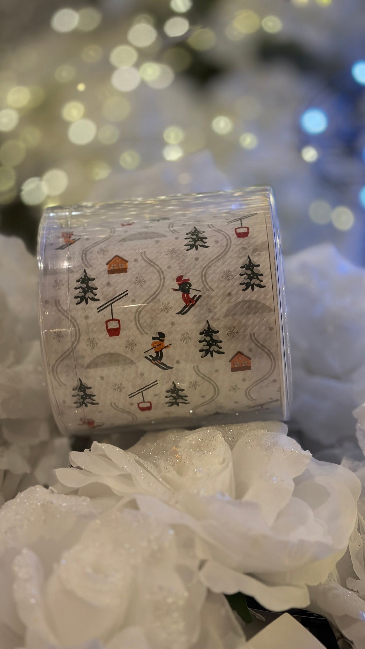 Christmas Printed Toilet Roll – Ski Slope