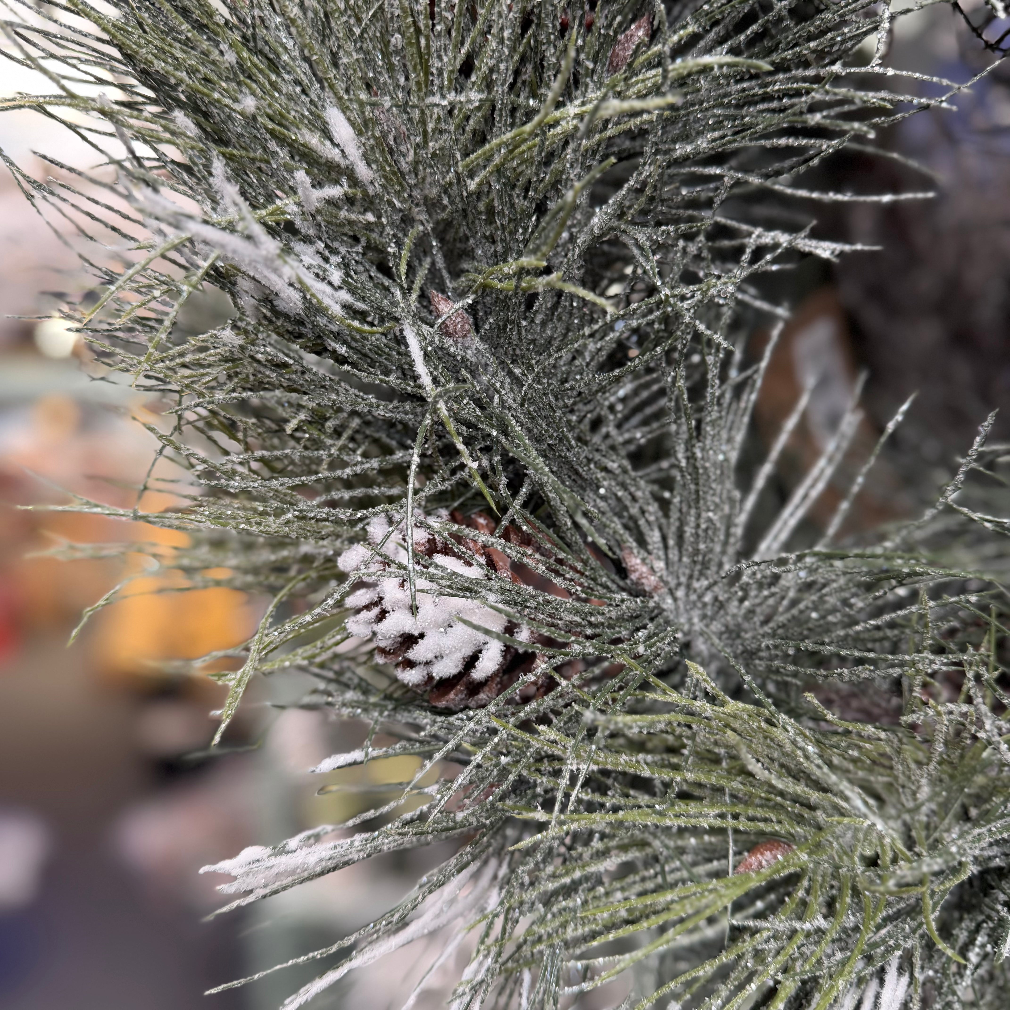 Pine Wreath - 60cm