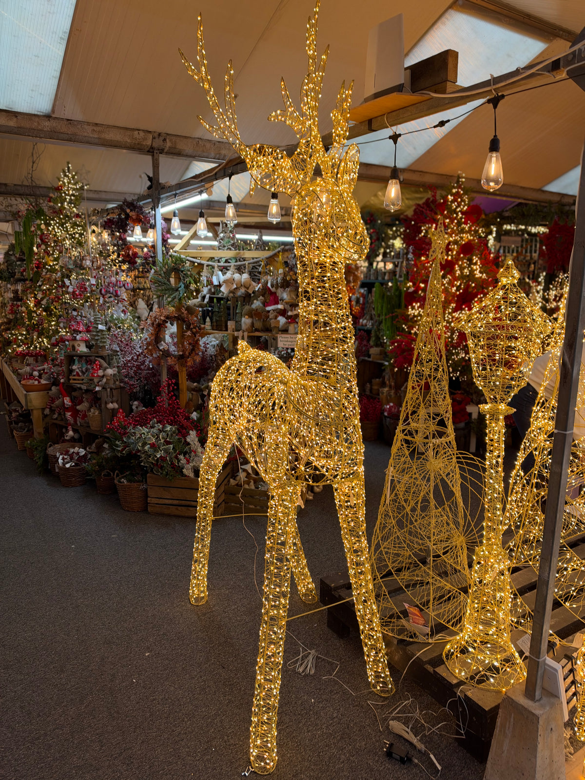 Lumineo Giant 270cm Gold, Warm & Classic White Light Up Outdoor Gold Wire Reindeer Stag with 4750 LEDs