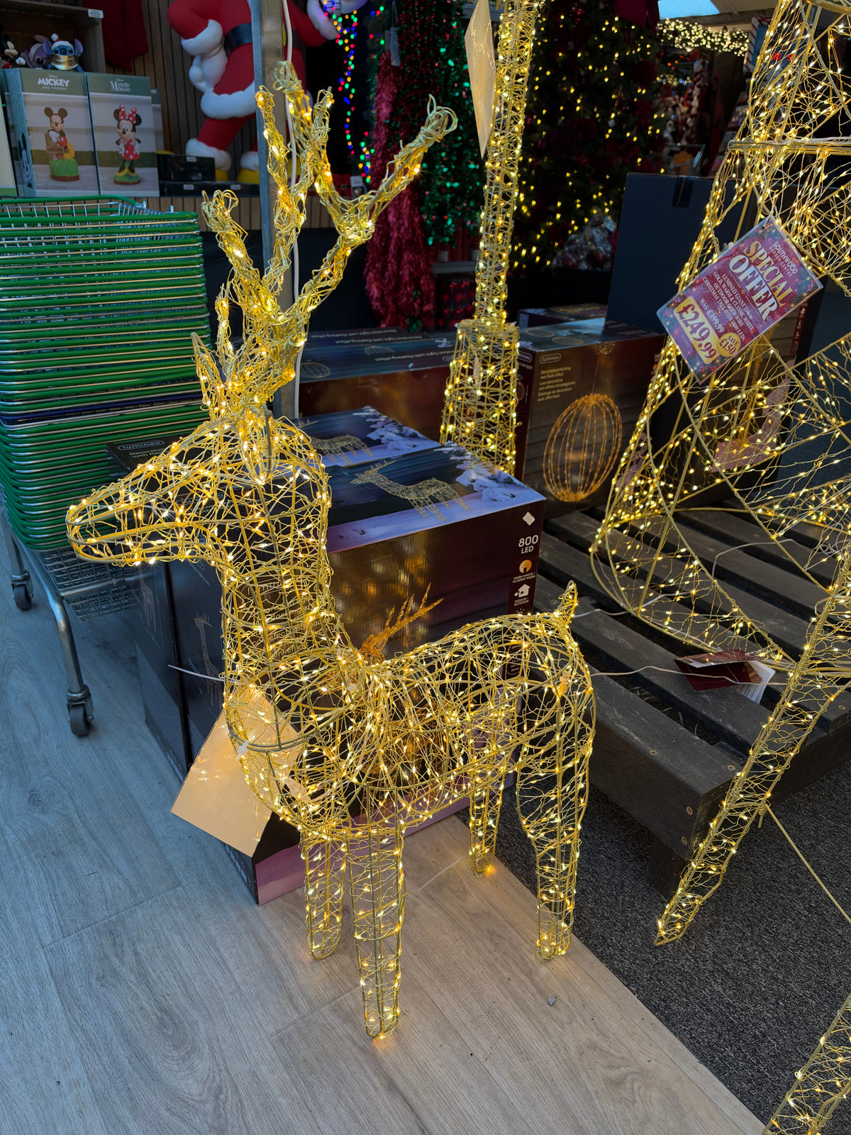 Lumineo 104cm Gold, Warm & Classic White Light Up Outdoor Gold Wire Reindeer Stag with 800 LEDs