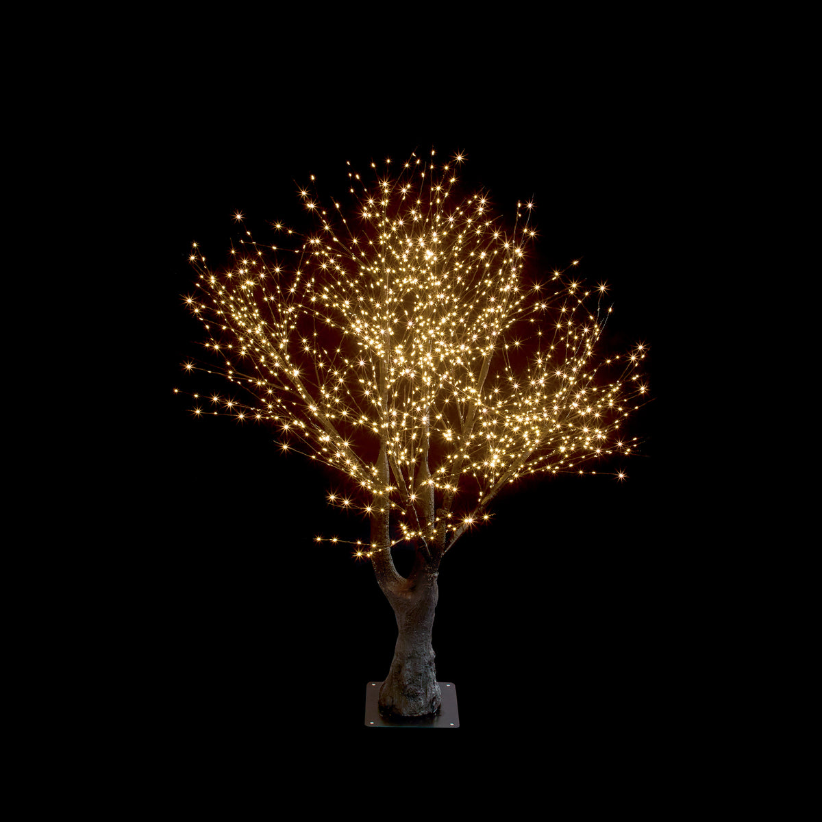 Premier Twinkling Lit Black Tree - 2.1m