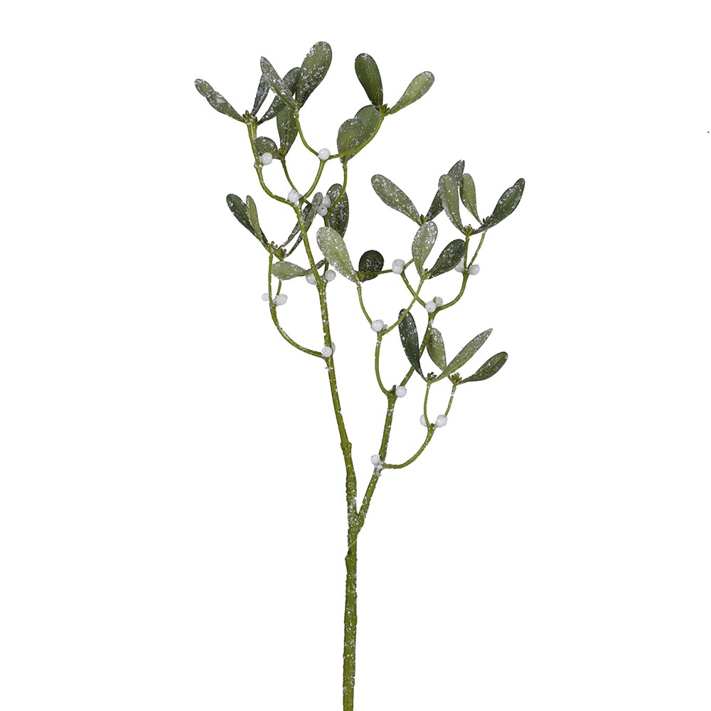 Large Mistletoe Stem - 80cm