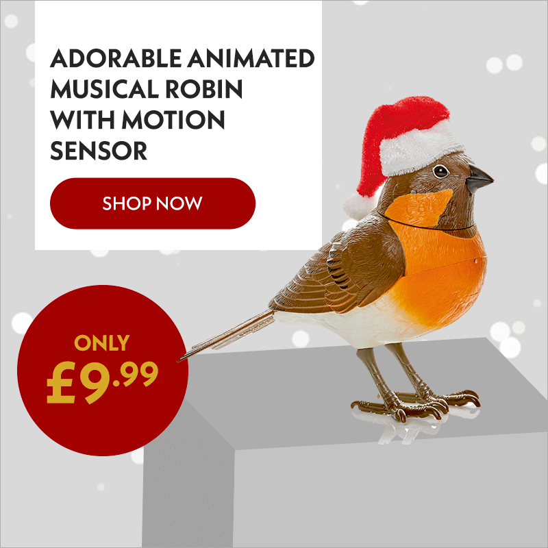Adorable Animated Musical Robin with Motion Sensor Promotional Image 