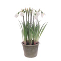 Artificial Frosted Snowdrop Plant in Pot - 27cm