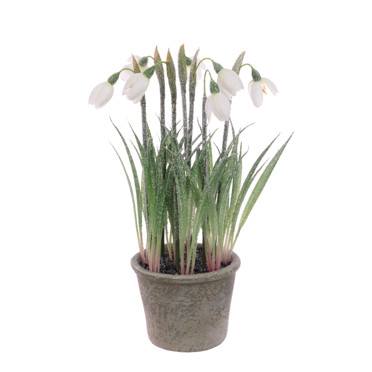 Artificial Frosted Snowdrop Plant in Pot - 27cm