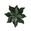 Sage Green Velvet Poinsettia Clip - 31cm