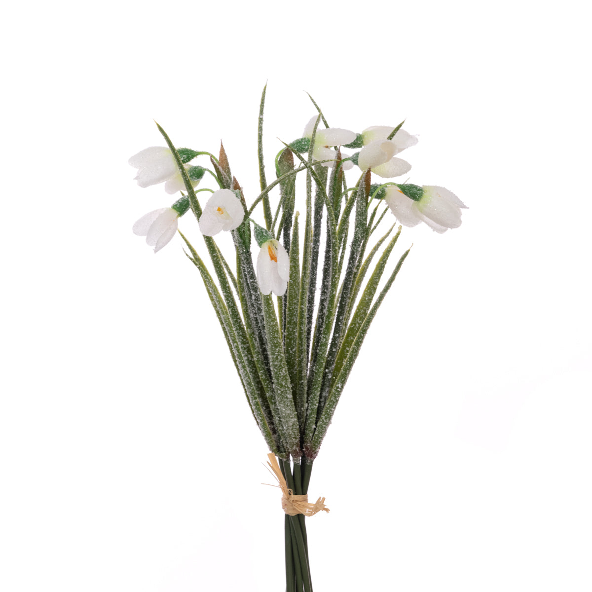 Frosted Snowdrop Bundle