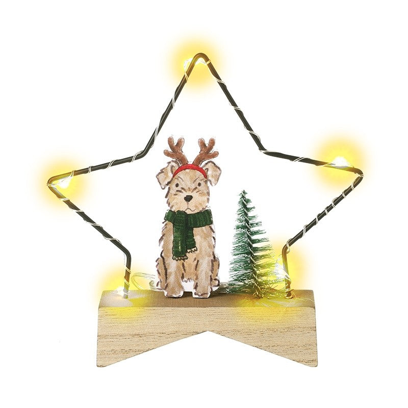 Light Up Star with Dog Decoration