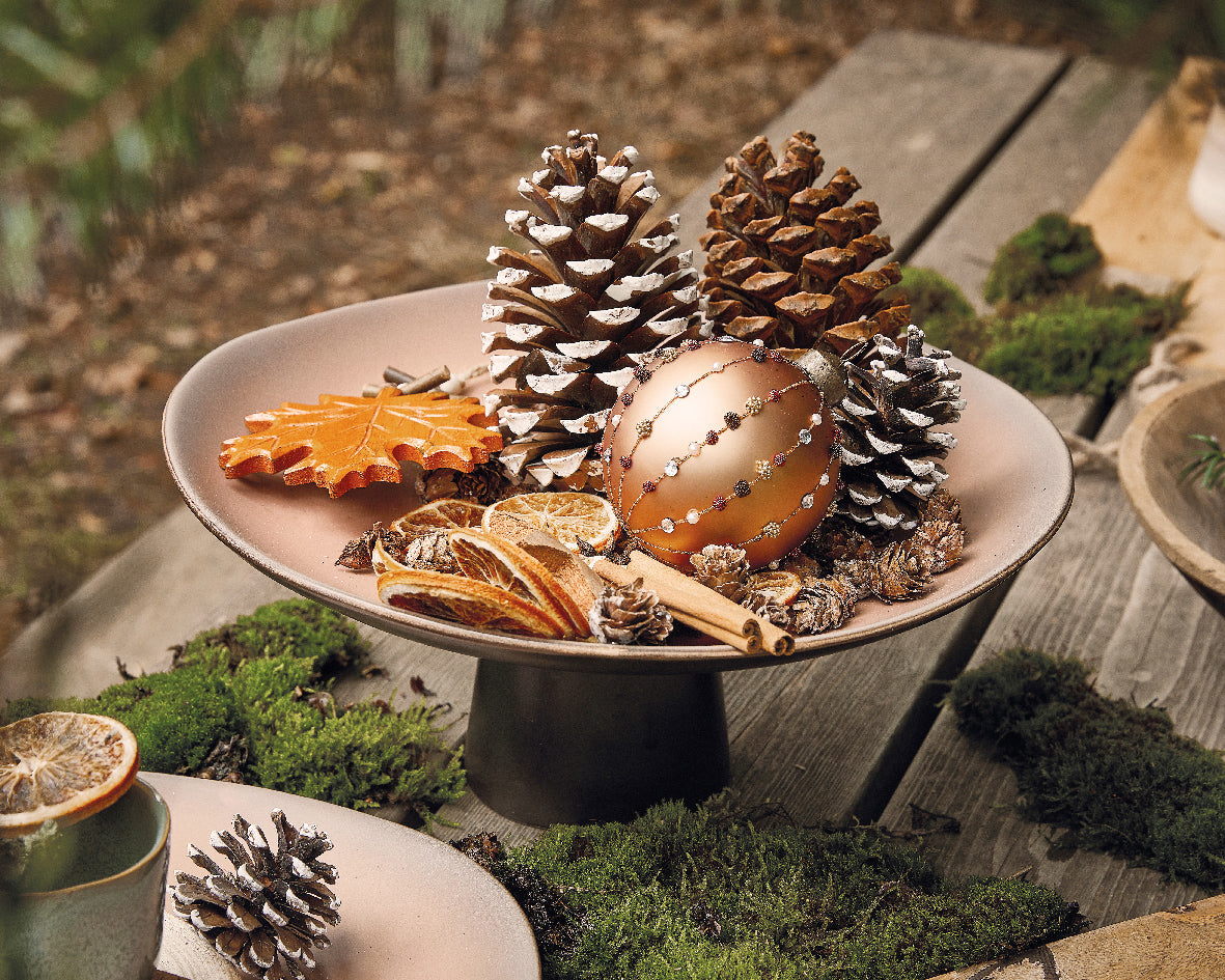 Potpourri with Orange, Cinnamon, Anise, and Coco star