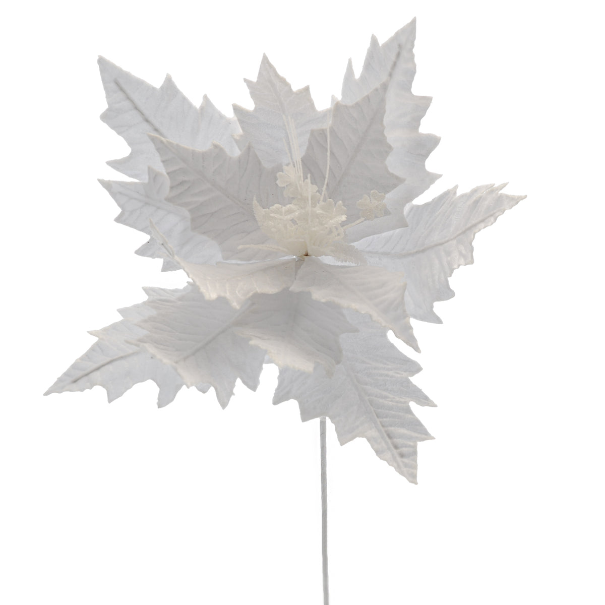 White Poinsettia with White Glitter Edging on a Stem - 70cm