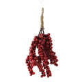 Christmas Red Ice Berries Hanging Bundle