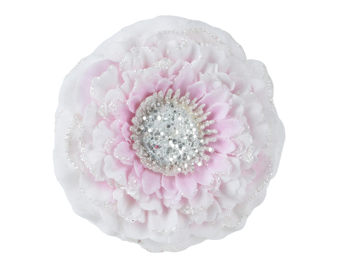 Pale Pink Glitter Zinnia Flower Head