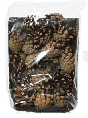 Decorative Accessories