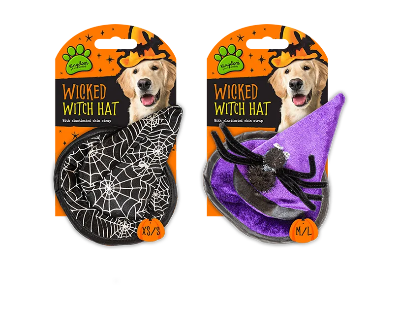 Halloween Pet Witches Hat