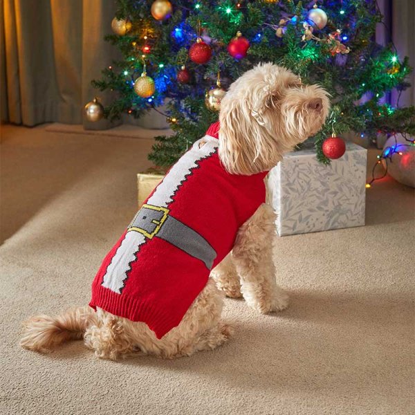 Costume Small Dog Xmas Jumper SantaSuit Dog Christmas Jumper
