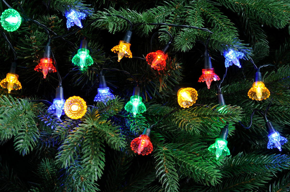 50 Multicoloured Flower Traditional Style String LED Lights