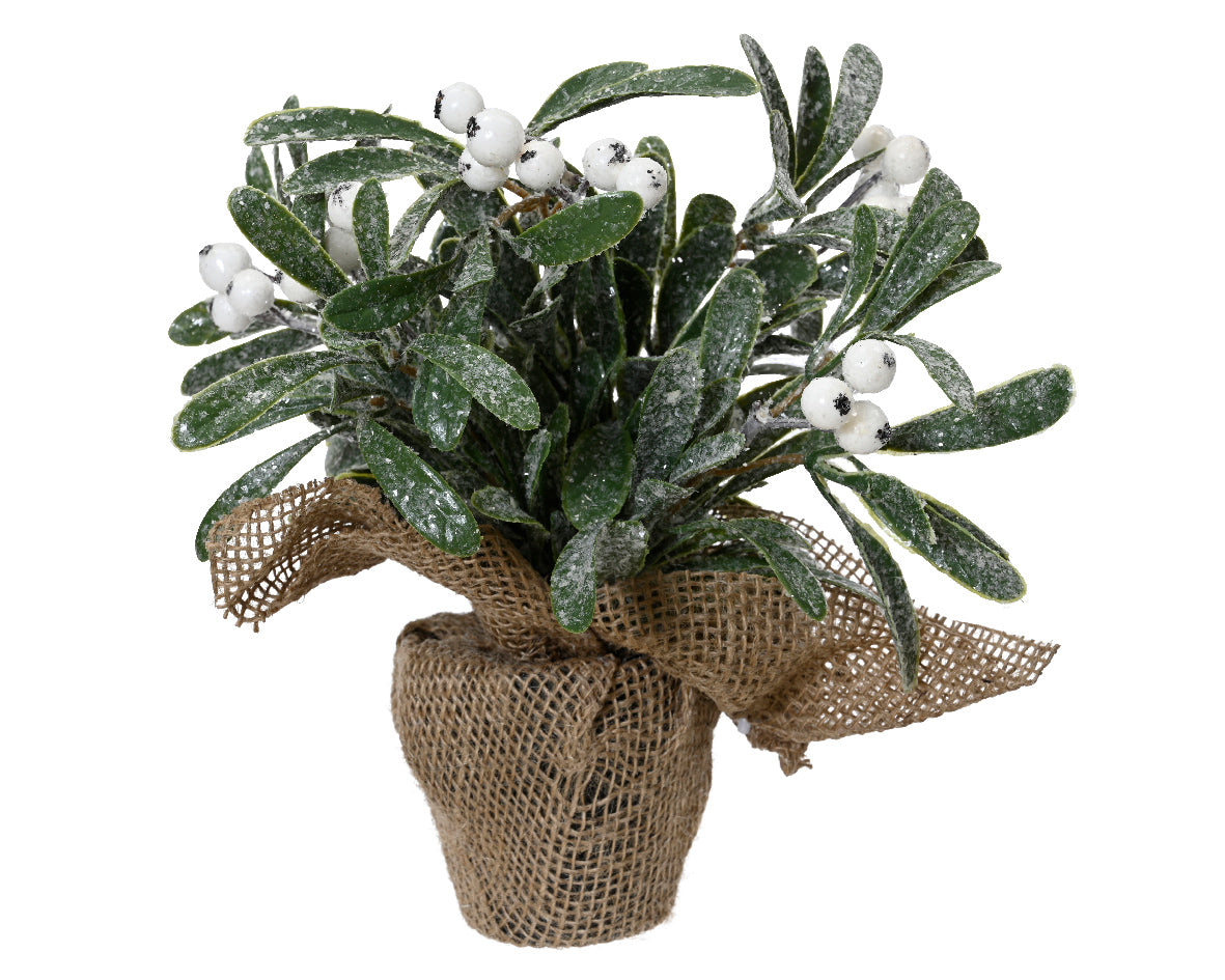 Green Glitter Potted Artificial Plant with Foam White Berries - 23cm