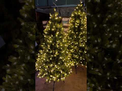 Everlands Pre-Lit Bromont Fir Artificial Christmas Tree with Large Vintage Duo Bulb Lights