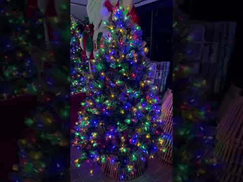 Everlands Freiburg Pine Pre-Lit with Warm White & Multi Coloured LEDs Artificial Tree