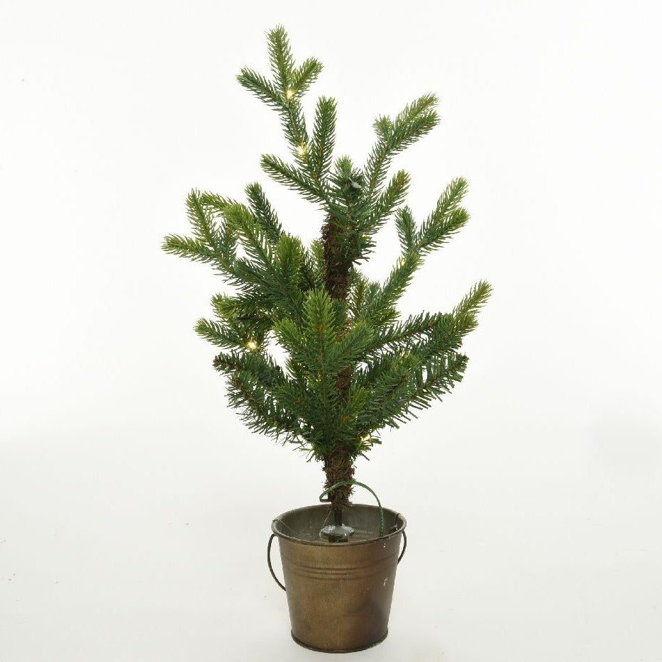 Queensland Mini Christmas Tree with Warm White Lights