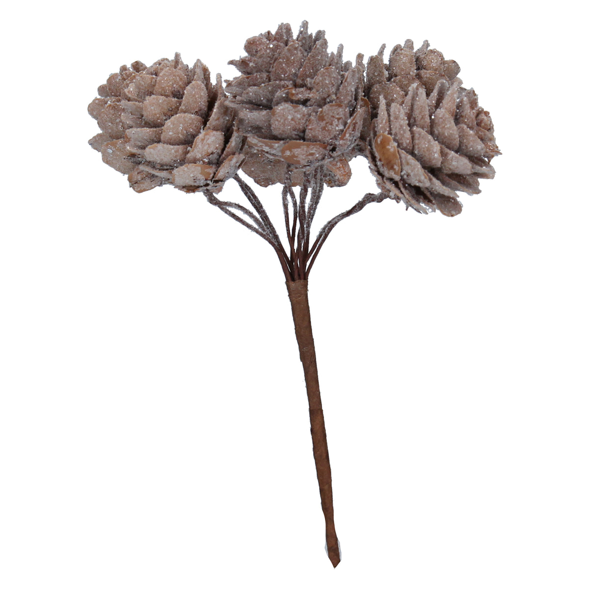 Gisela Graham - Frosted Natural Acrylic Cone Pick