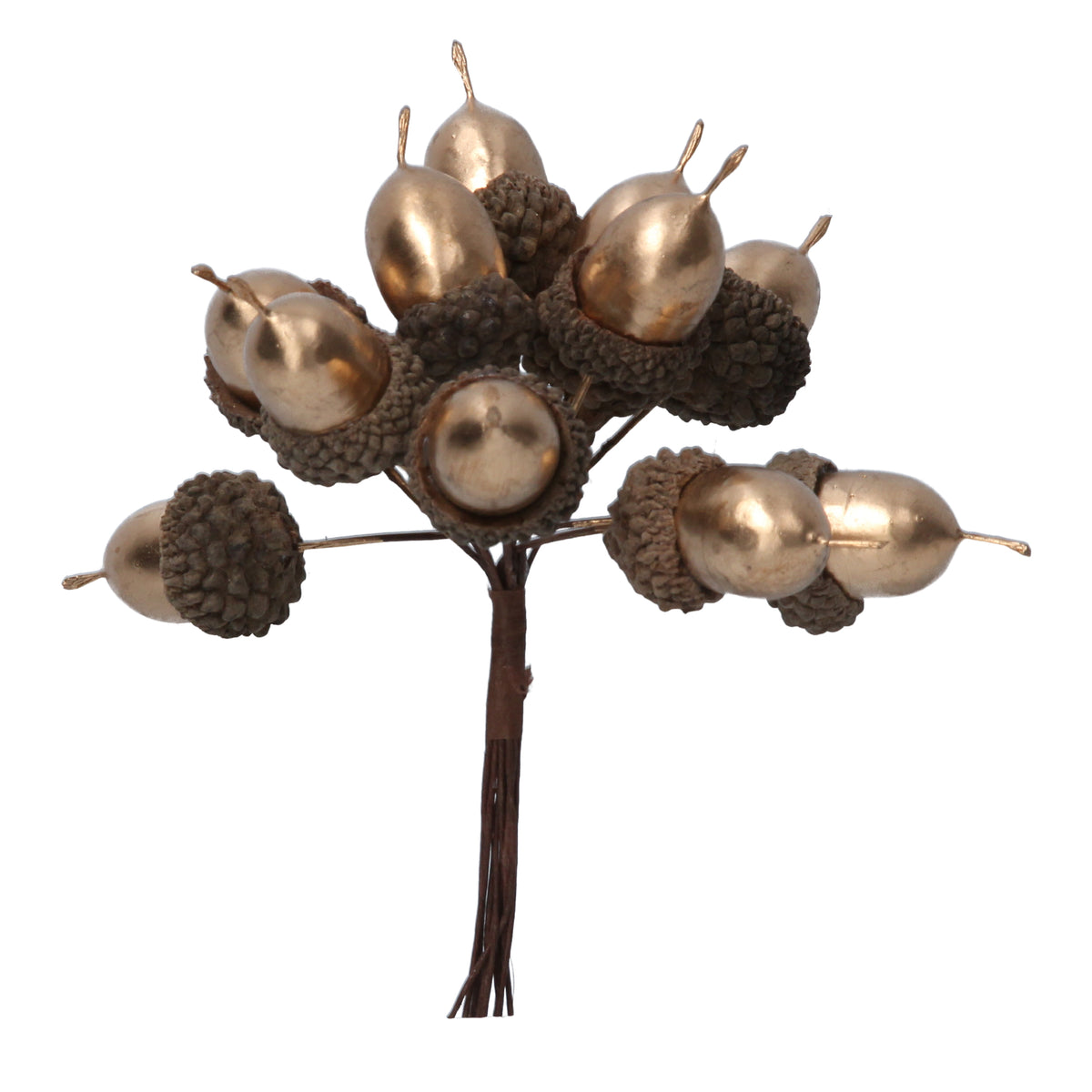 Gisela Graham - Matt Gold Acorn Pick Bunch